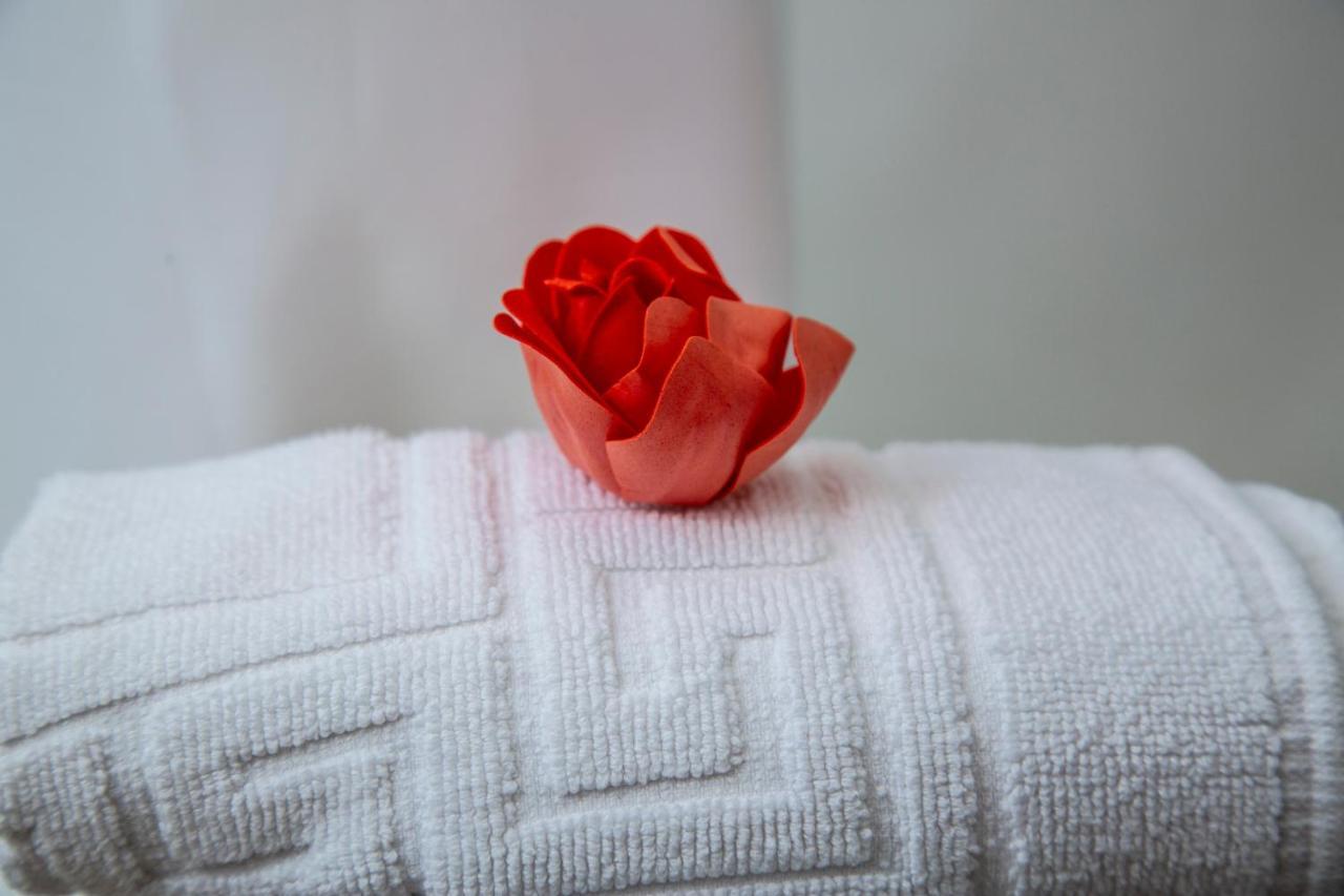 Hostal La Rosa Caces Zewnętrze zdjęcie